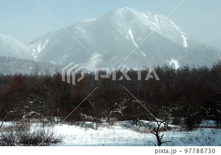 静かな世界が広がる冬の奥日光戦場ヶ原。時折覗く青空、雪原に舞う粉雪、素晴らしい景観。 静かな世界が広がる冬の奥日光戦場ヶ原。時折覗く青空、雪原に舞う粉雪、素晴らしい景観。 97788730