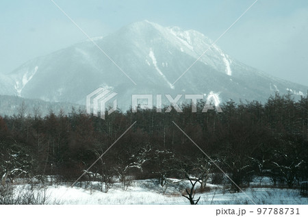 静かな世界が広がる冬の奥日光戦場ヶ原。時折覗く青空、雪原に舞う粉雪、素晴らしい景観。 97788731