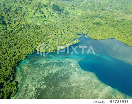Utwe Biosphere Reserve in Kosrae, Micronesia 97788953