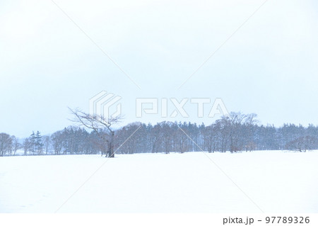北海道　真冬の雪景色 97789326