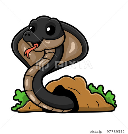 Cute javan spitting cobra cartoon 97789552