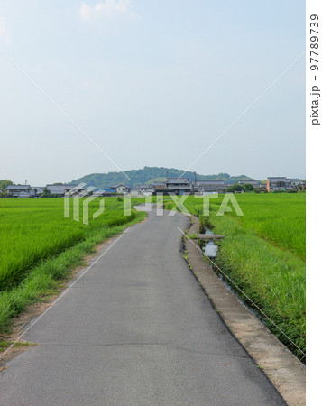 真夏の日本の農村の田んぼの中の一本道。	 97789739
