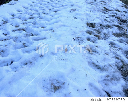 日陰の雪 97789770
