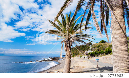 冬の湘南 冬の湘南 97789824