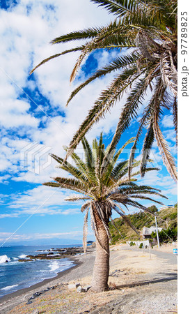 冬の湘南 冬の湘南 97789825