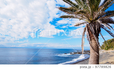 冬の湘南 冬の湘南 97789826