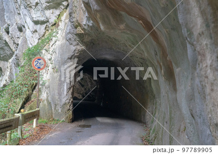 大正時代の手掘りトンネル　羽山第二隧道の南側1　岡山県高梁市 97789905