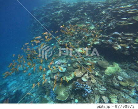 鳩間島の海 97790975