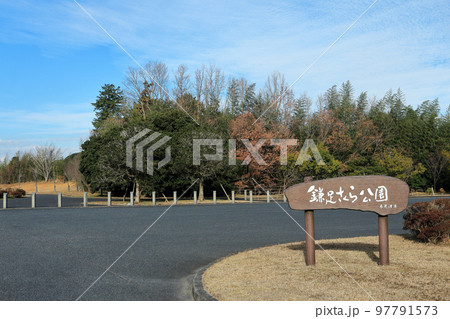 鎌足さくら公園（木更津市） 97791573