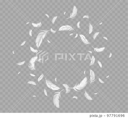 Circle frame of flying white soft bird feathers 97791696