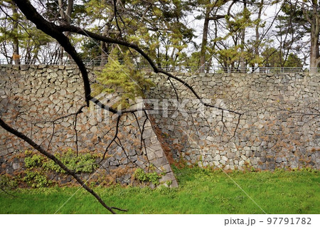 枝と石垣 97791782