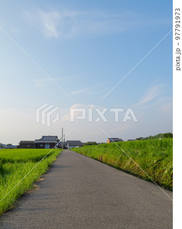 真夏の日本の農村の田んぼの中の一本道。 真夏の日本の農村の田んぼの中の一本道。 97791973