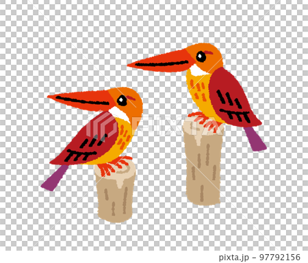 リュウキュウアカショウビンの手描きイラスト 97792156