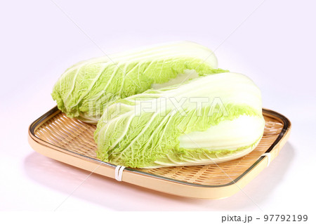 ザルの上のミニ白菜 ザルの上のミニ白菜 97792199