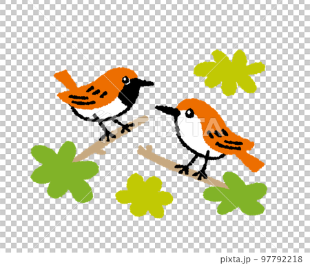 ホントウアカヒゲペアの手描きイラスト ホントウアカヒゲペアの手描きイラスト 97792218
