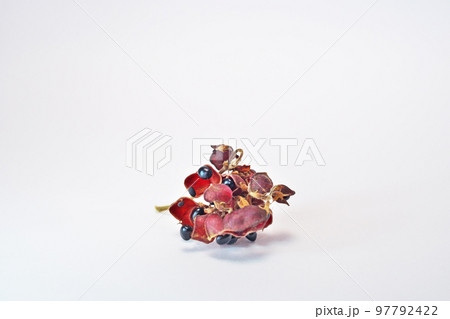 黒いタンキリマメの実(秋、十一月) 黒いタンキリマメの実(秋、十一月) 97792422