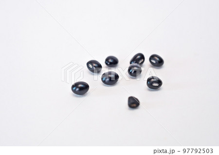 黒いタンキリマメの実(秋、十一月) 黒いタンキリマメの実(秋、十一月) 97792503