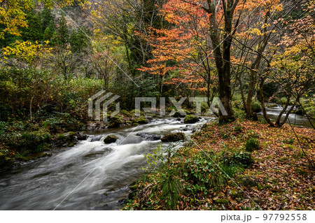 晩秋の荒俣峡 97792558