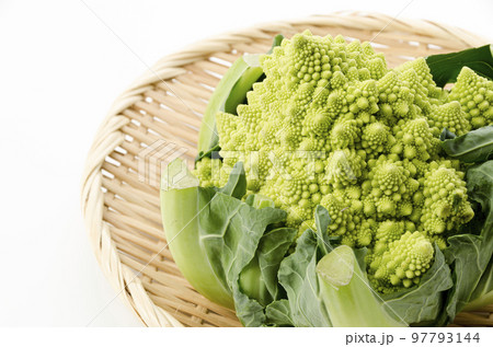 ロマネスコ 97793144