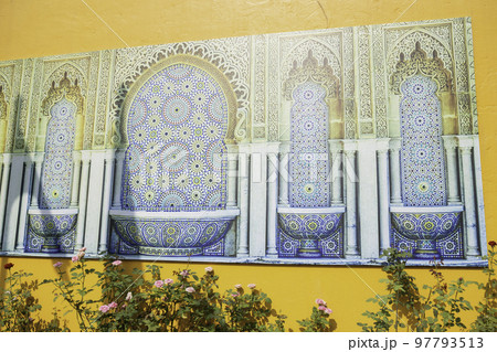 Botanical garden green branches of plant pot 97793513