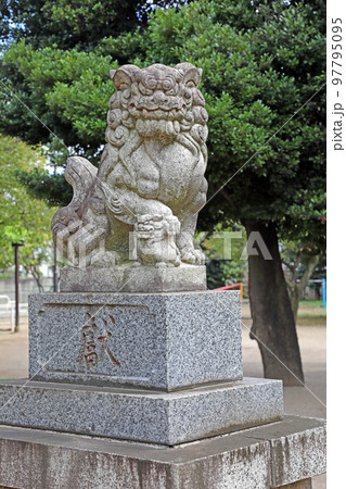 野火止氷川神社(新座) 野火止氷川神社(新座) 97795095