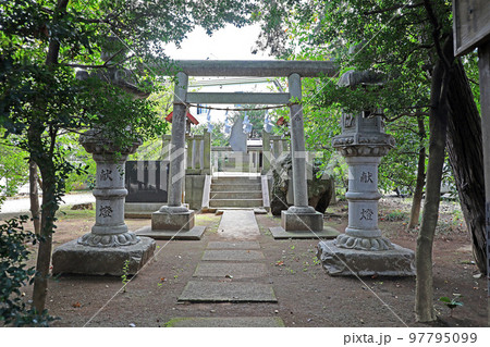 野火止氷川神社(新座) 野火止氷川神社(新座) 97795099