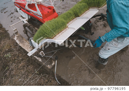 Agriculture 97796195