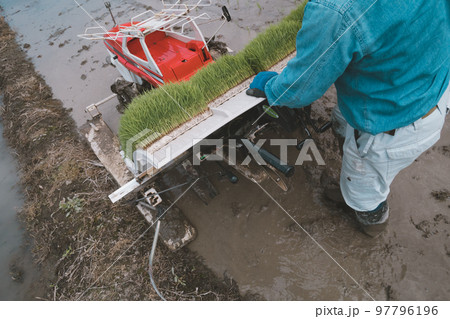 Agriculture 97796196