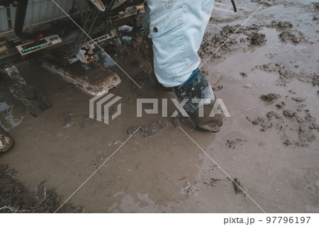 Agriculture 97796197