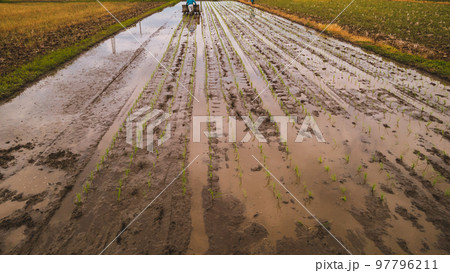 Agriculture Agriculture 97796211