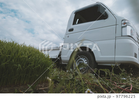 Agriculture 97796225