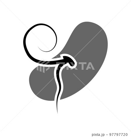 Illustration Vector graphic of seed icon Illustration Vector graphic of seed icon 97797720
