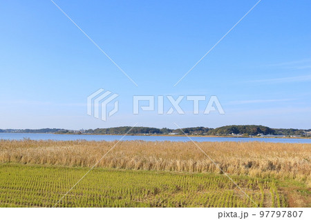 千葉県・我孫子市・手賀沼 97797807