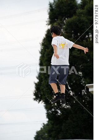 新緑を背景に空に飛ぶ 97797828