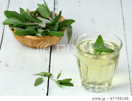 Herbal tea made from sage, Salvia officinalis 97798186