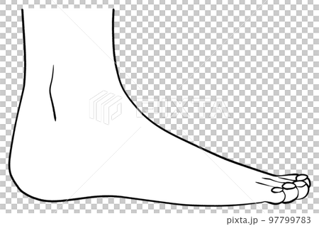 從側面看右腿的插圖 97799783