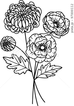 菊 牡丹 誕生日 97800112