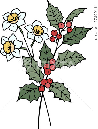 誕生日 花 図 97800114