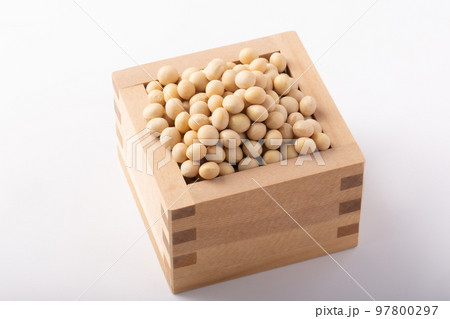 大豆 大豆 97800297