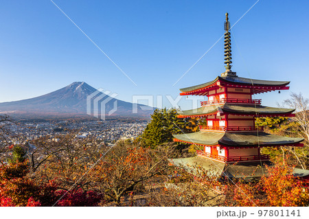 【山梨県・富士吉田市･新倉山浅間公園】富士山と紅葉が織り成す日本の秋 11月 97801141