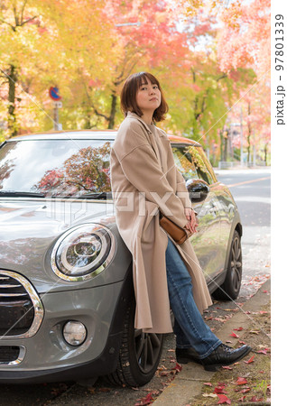 秋のドライブ 秋のドライブ 97801339