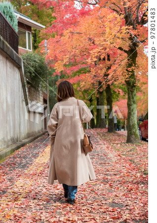 紅葉散歩　 97801483