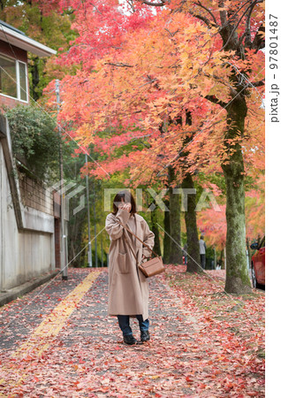 紅葉散歩 紅葉散歩 97801487
