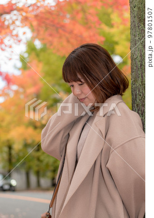 紅葉散歩 紅葉散歩 97801507