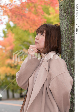 紅葉散歩 紅葉散歩 97801509