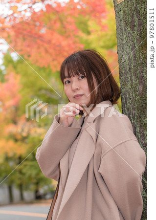 紅葉散歩　 97801511