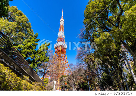 日本の東京都市景観 青空に映える東京タワーなどを望む 97801717