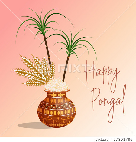 Happy Pongal, a clay pot filled with rice and bamboo stalks. Hindu holiday card, vector 97801786