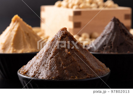 赤味噌 97802013