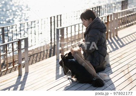 冬の海を背景にしたテラスデッキで愛犬と一緒に寛ぐ飼い主の女性 冬の海を背景にしたテラスデッキで愛犬と一緒に寛ぐ飼い主の女性 97802177